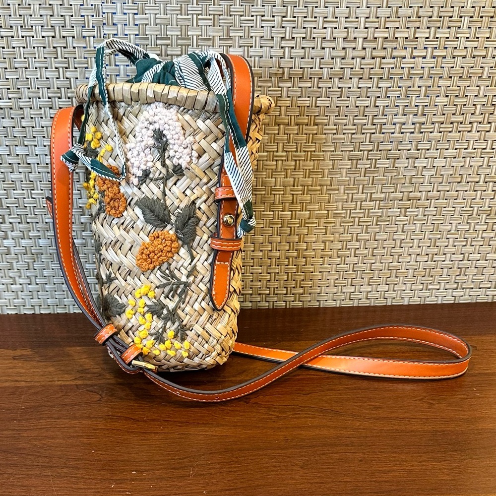 Zara Embroidered Raffia Mini Crossbody Bucket Bag